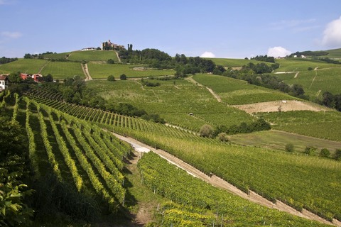 Langhe