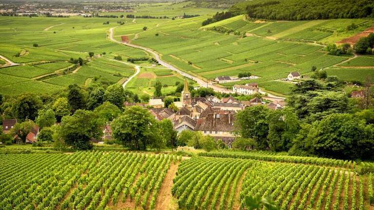 Vini-della-borgogna-panoramica-dei-vigneti