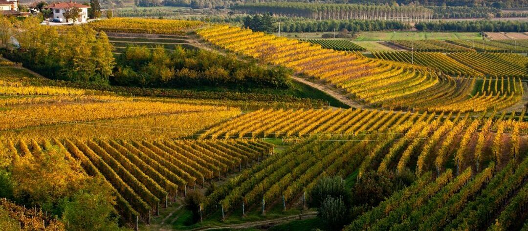3strade-vino-italiane collio-friulano-1-1080x720