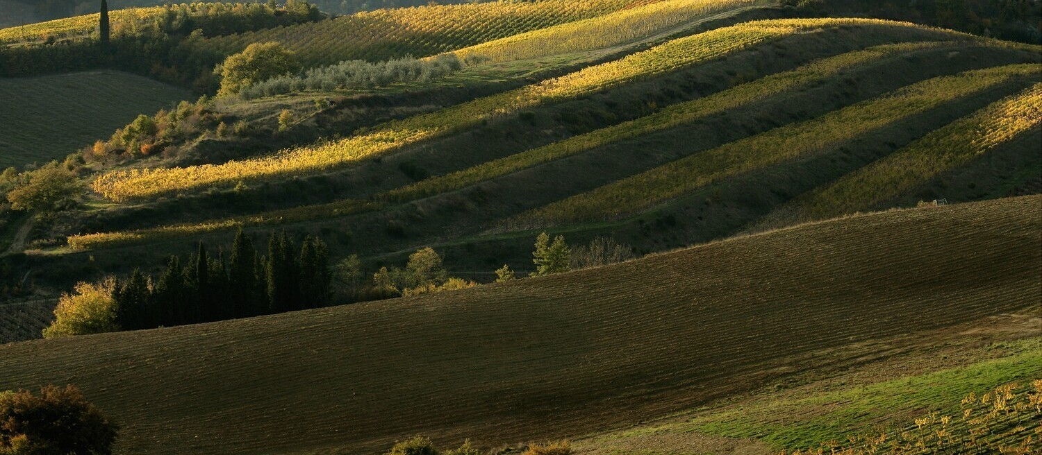 Paesaggio del chianti