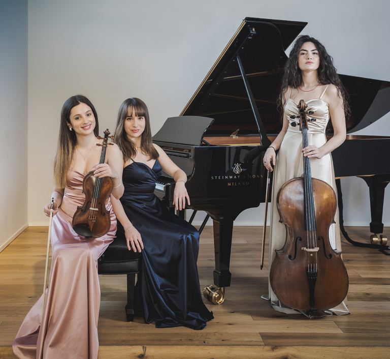 Hermes correttae ridotts