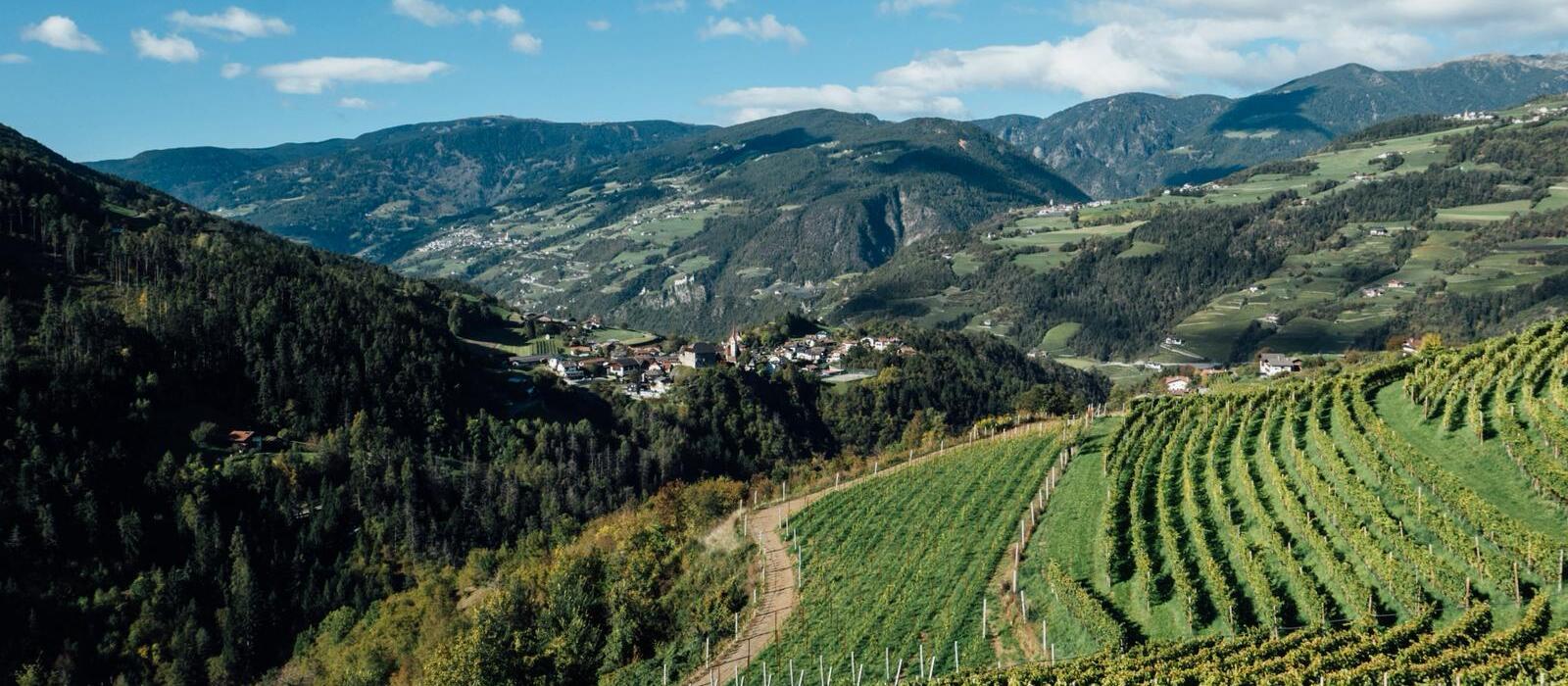 Whatsapp image 2026-04-08 at 15.36.03