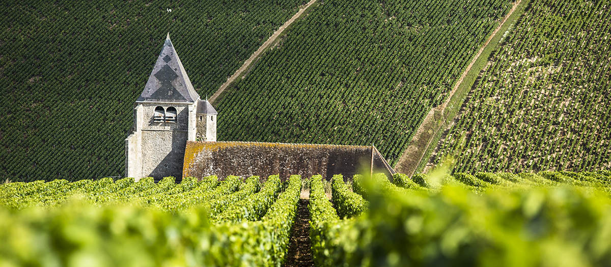 Chablis fleys april-2024